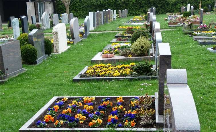 Symbolbild. Foto: Hans / pixabay