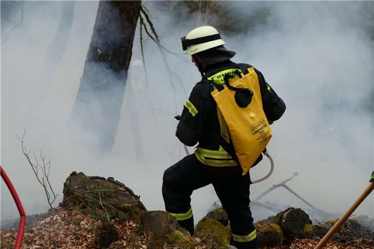 Im Wald ist es aktuell brandgefährlich Symbolbild. Foto: Landesforsten.RLP.de / Burkhard Steckel
