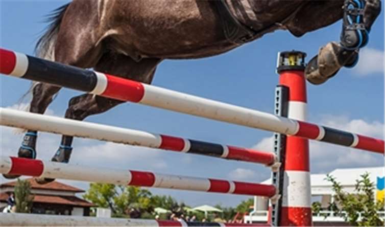 Symbolbild. Foto: NeelShakilov/pixabay