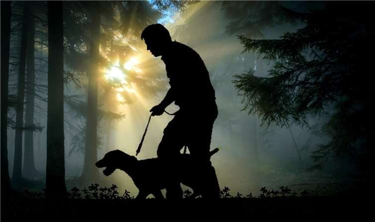 Symbolbild. Foto: Pixabay