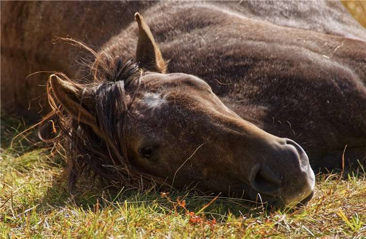 Symbolbild. Foto: Pixabay