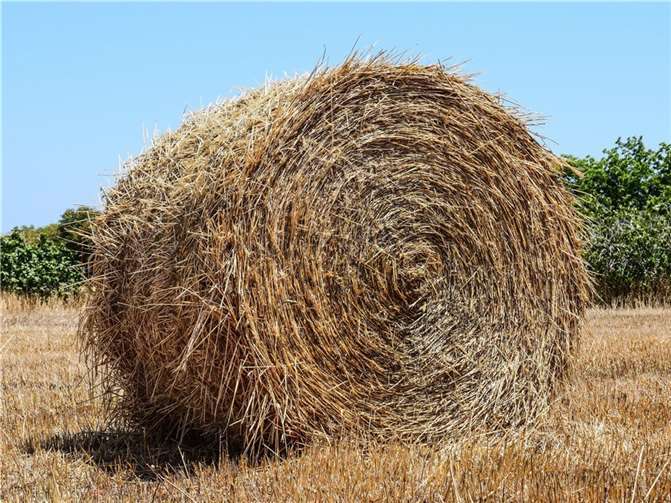 Symbolbild. Foto: Pixabay