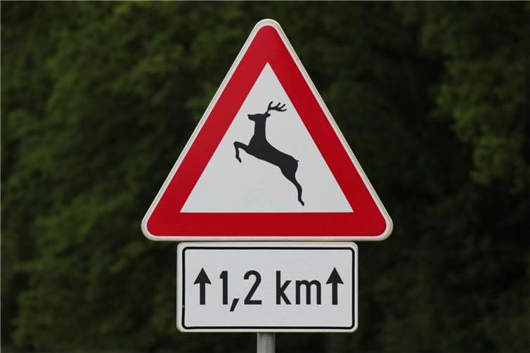 Symbolbild. Foto: Pixabay