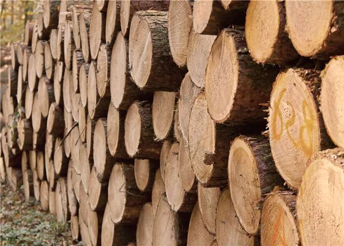 Symbolbild. Foto: Pixabay 