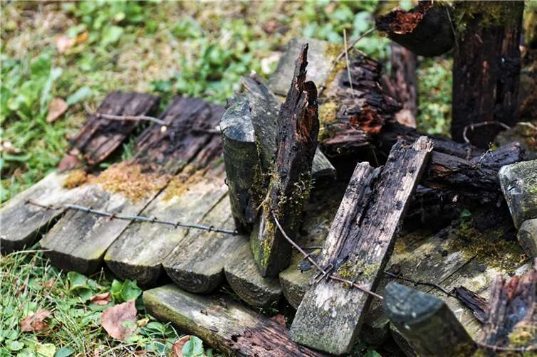 Symbolbild. Foto: Pixabay