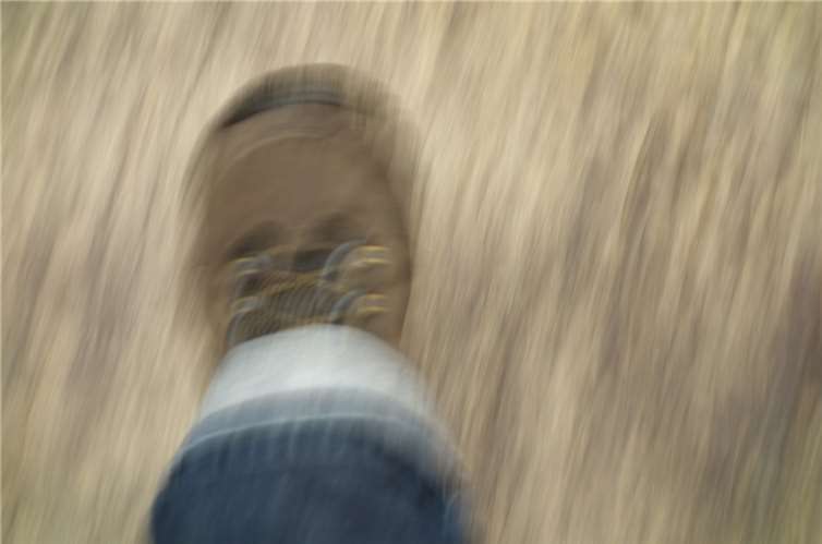 Festnahme nach fußläufiger Verfolgung im Stadtgebiet Altenkirchen Symbolbild. Foto: Pixabay