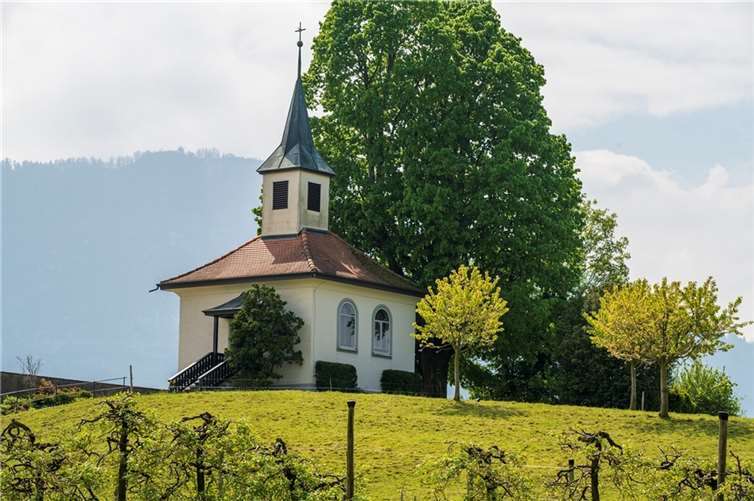 Symbolbild. Foto: Pixabay