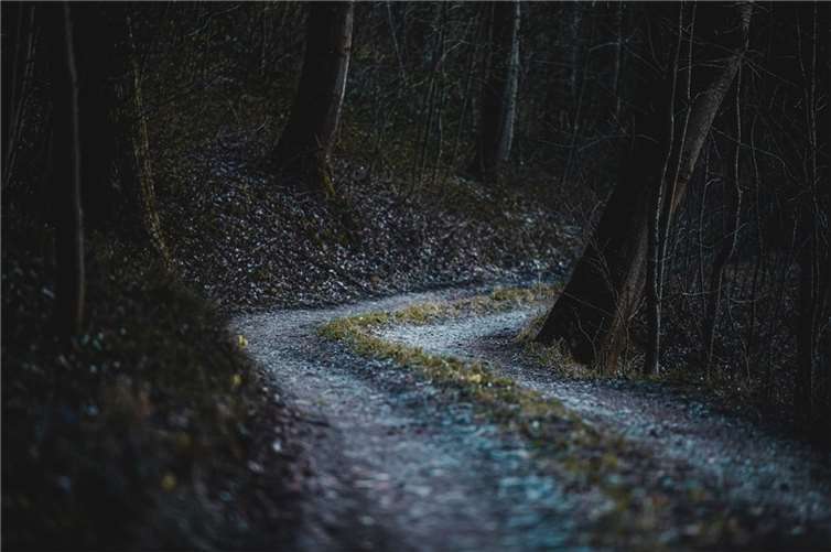 Symbolbild. Foto: Pixabay