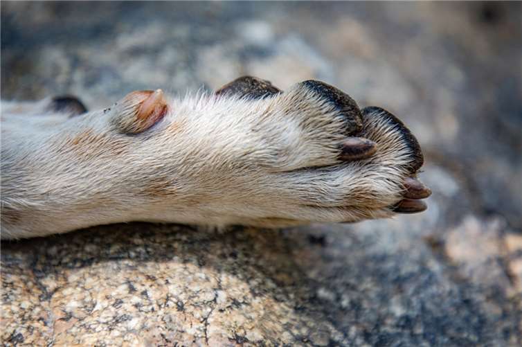 Symbolbild. Foto: Pixabay