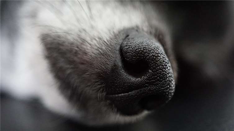 Symbolbild. Foto: Pixabay