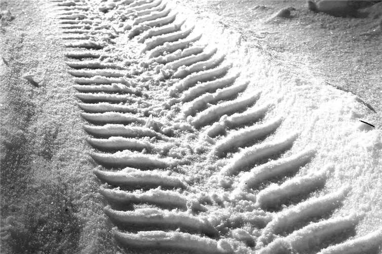 Symbolbild. Foto: Pixabay