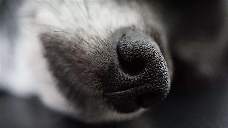 Symbolbild. Foto: Pixabay
