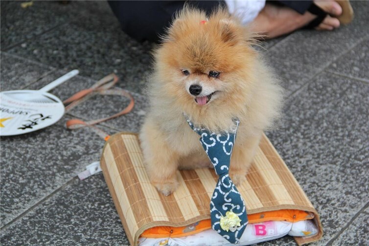 Symbolbild. Foto: Pixabay