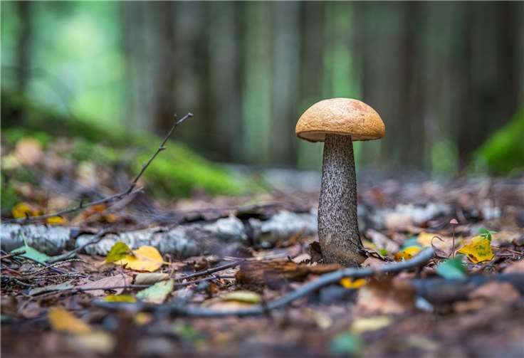 Symbolbild. Foto: Pixabay.com 