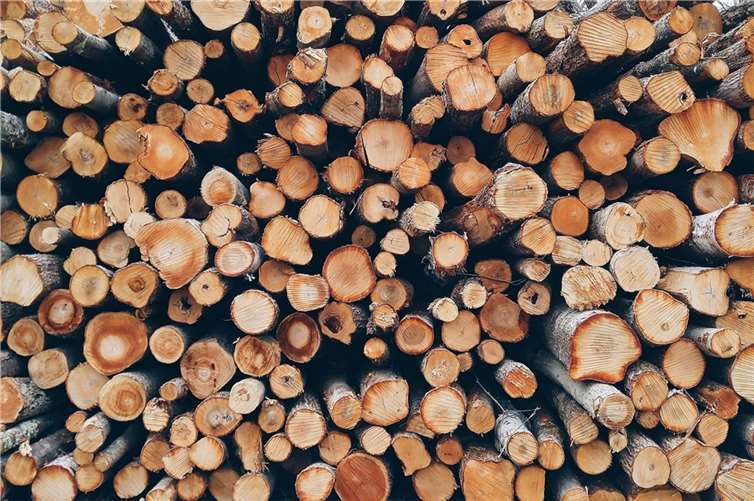 Symbolbild. Foto: Pixabay.com 