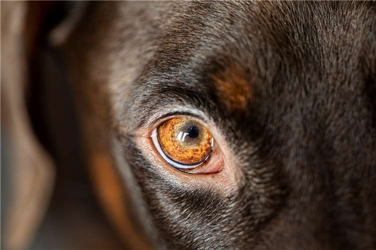 Symbolbild. Foto: Pixabay.com 