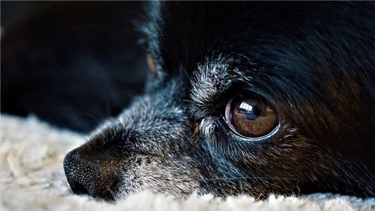 Symbolbild. Foto: Pixabay.com 