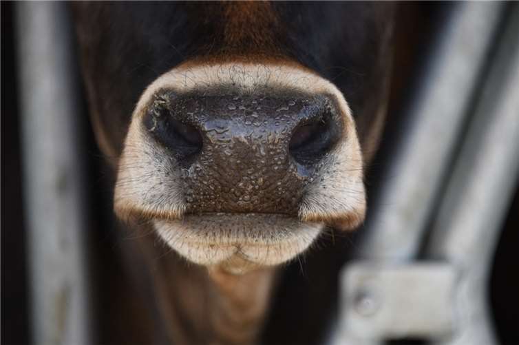 Symbolbild. Foto: Pixabay.com 