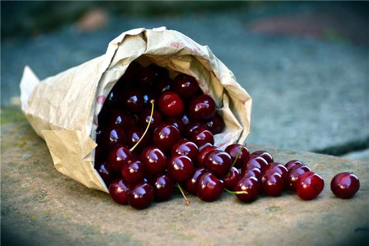 Symbolbild. Foto: Pixabay.com
