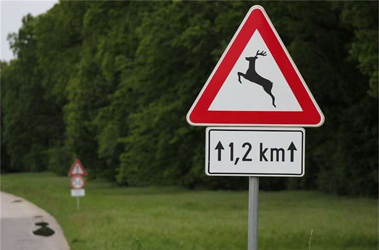 Symbolbild. Foto: Pixabay.com