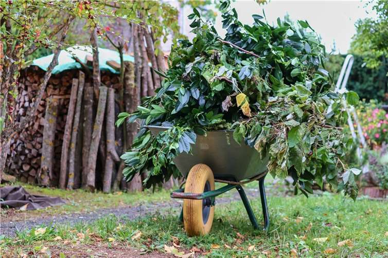 Neuwied: Grünschnitt im Garten verbrannt Symbolbild. Foto: Pixabay.com
