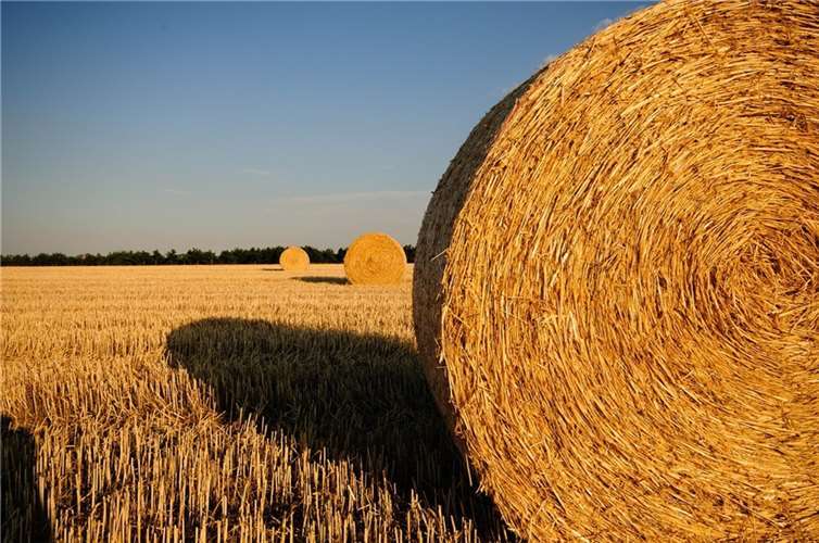 Symbolbild. Foto: Pixabay.com