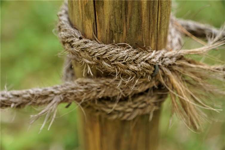 Symbolbild. Foto: Pixabay.com