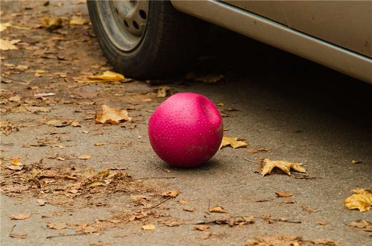 Symbolbild. Foto: Pixabay.com