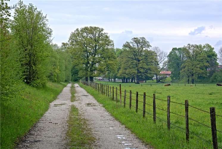 Symbolbild. Foto: Pixabay.com