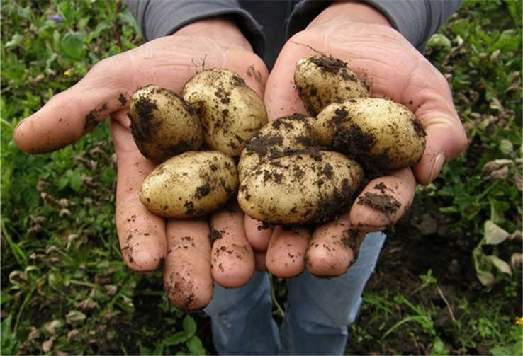 Symbolbild. Foto: Pixabay/sbj04769