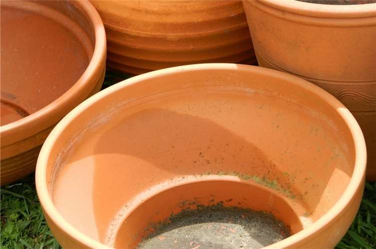 Symbolbild. Foto: PublicDomainPictures / pixabay