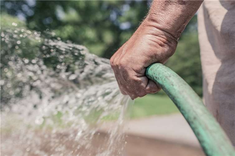 Symbolbild. Foto: RyanMcGuire/Pixabay