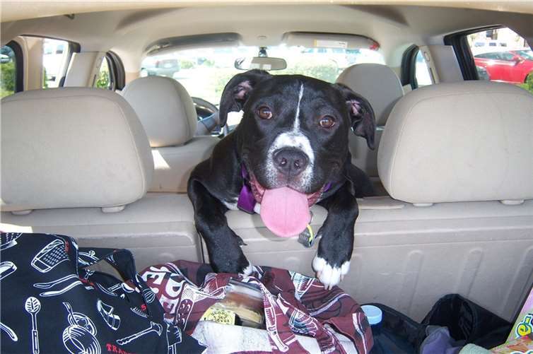 Symbolbild. Foto: TessDeGroot/Pixabay