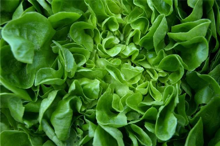 Symbolbild. Foto: ariesa66 / pixabay