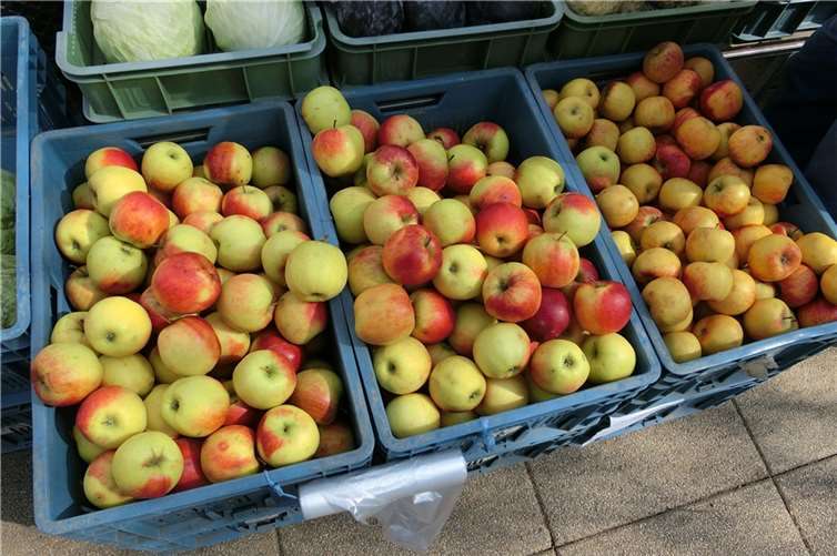 Symbolbild. Foto: lbokel/Pixabay