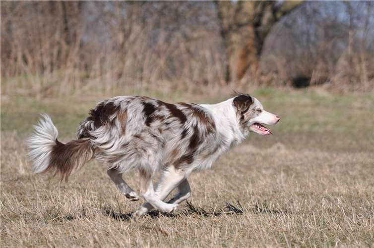 Symbolbild. Foto: mardive/pixabay