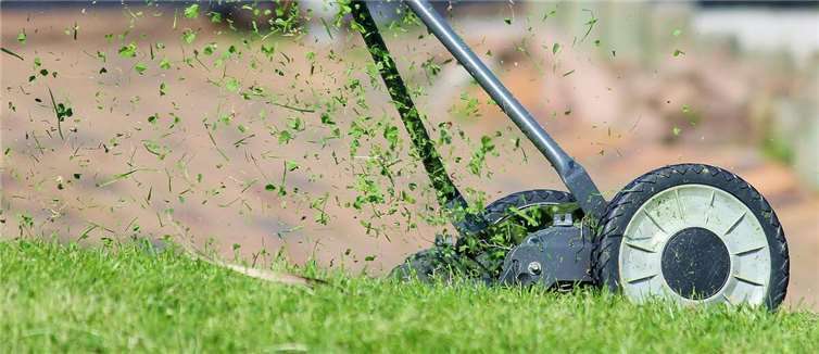 Längere Tage bedeuten Frühjahrsputz im Garten Symbolbild. Foto: pixabay