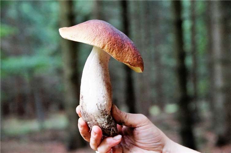 Symbolbild. Foto: pixabay.com 