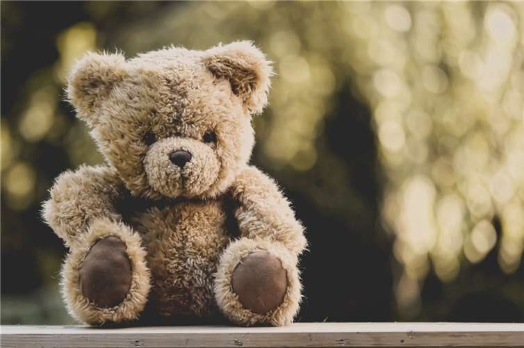 Im Zug: 15-Jährige versteckt langes Küchenmesser in Stofftier Symbolbild. Foto: pixabay.com