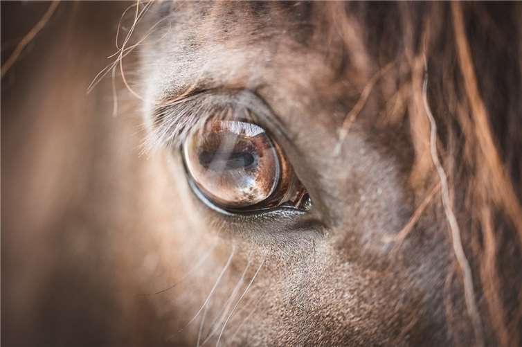 Symbolbild. Foto: pixabay.com 