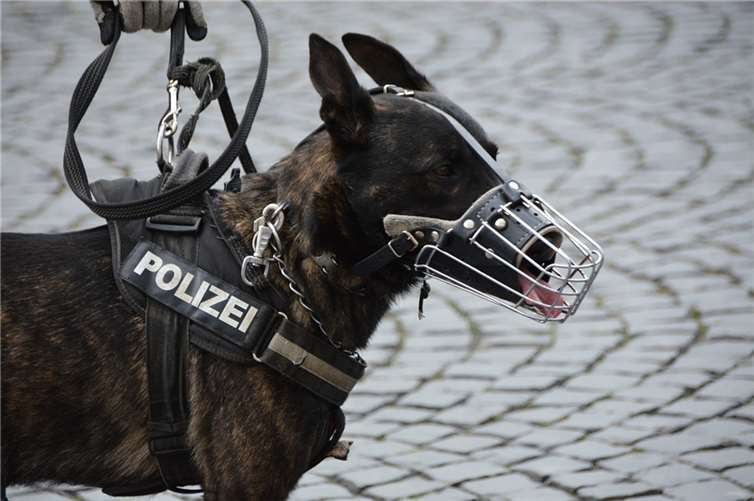 Symbolbild. Foto: pixabay.com 
