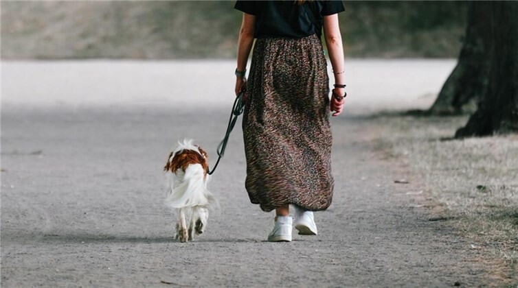 Symbolbild. Foto: pixabay.com