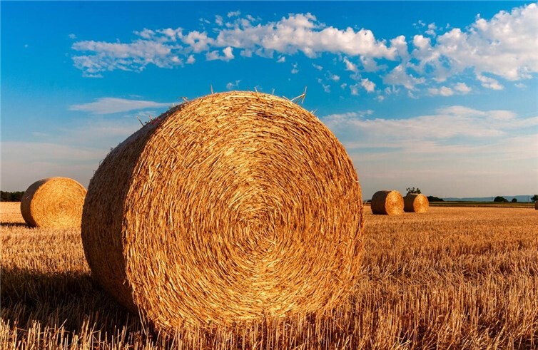 Symbolbild. Foto: pixabay.com