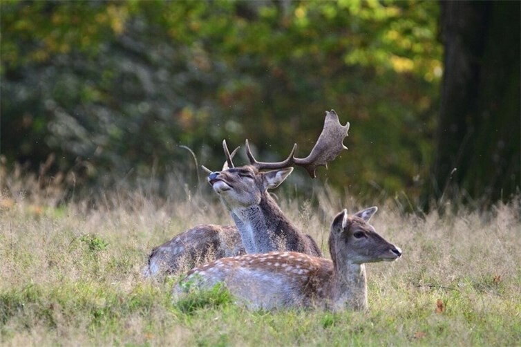 Symbolbild. Foto: pixabay.com