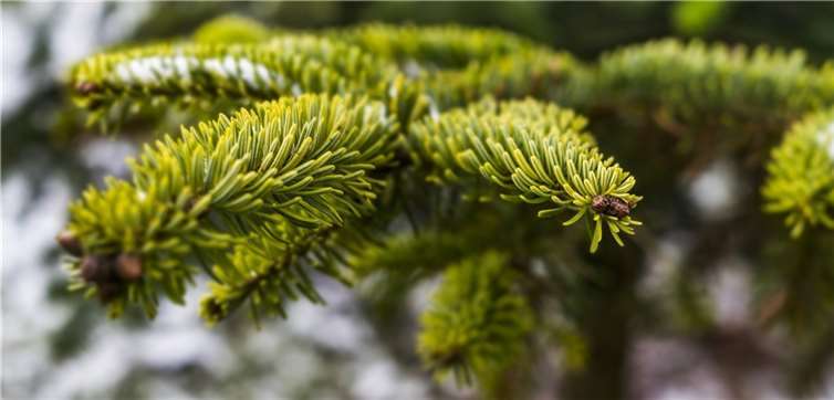 Symbolbild. Foto: pixabay.com