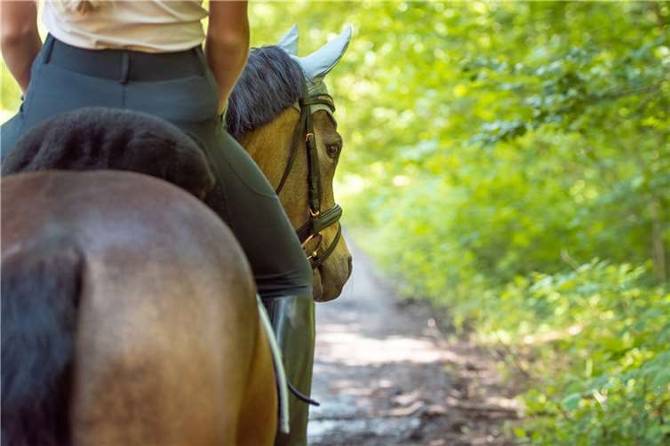 Symbolbild. Foto: pixabay.com