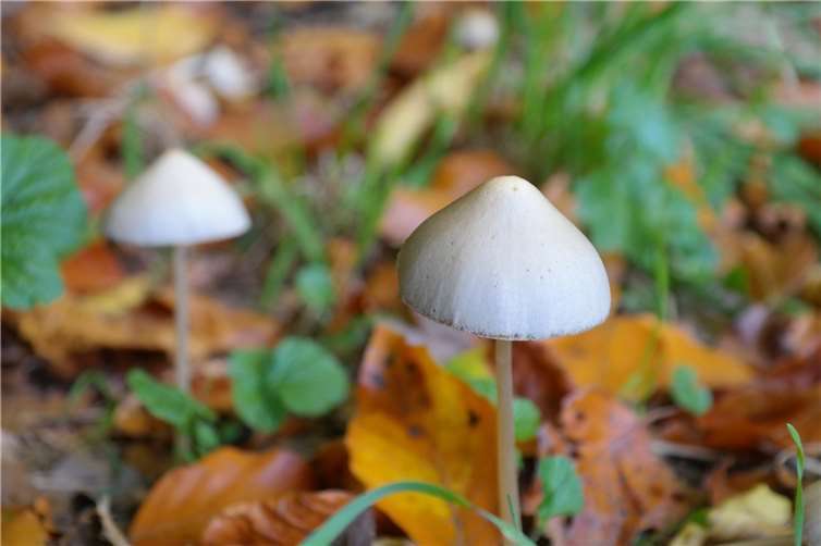 Symbolbild. Foto: pixabay.com