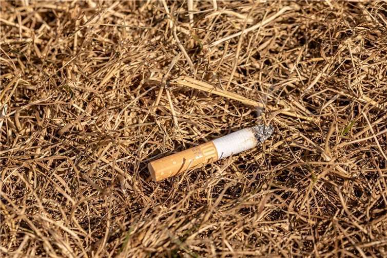 Symbolbild.  Foto: pixabay.com