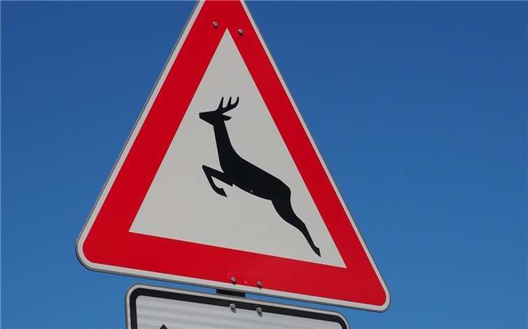 Symbolbild. Foto: pixabay.com