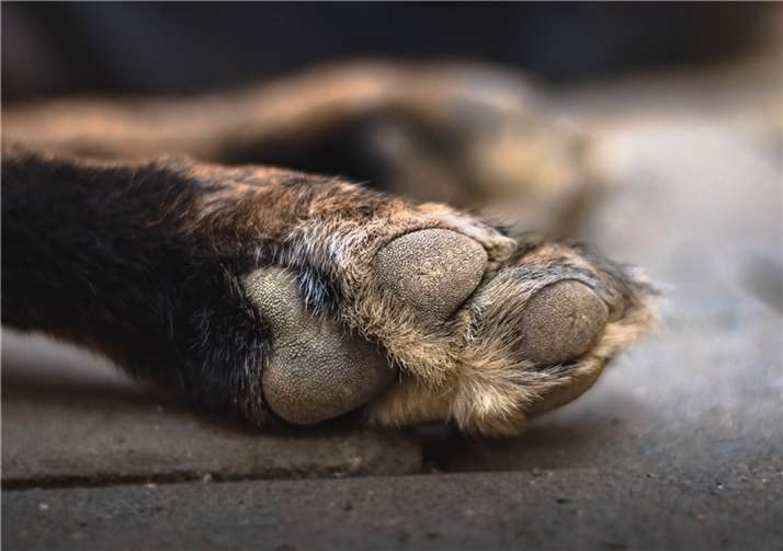 Symbolbild. Foto: pixabay.com
